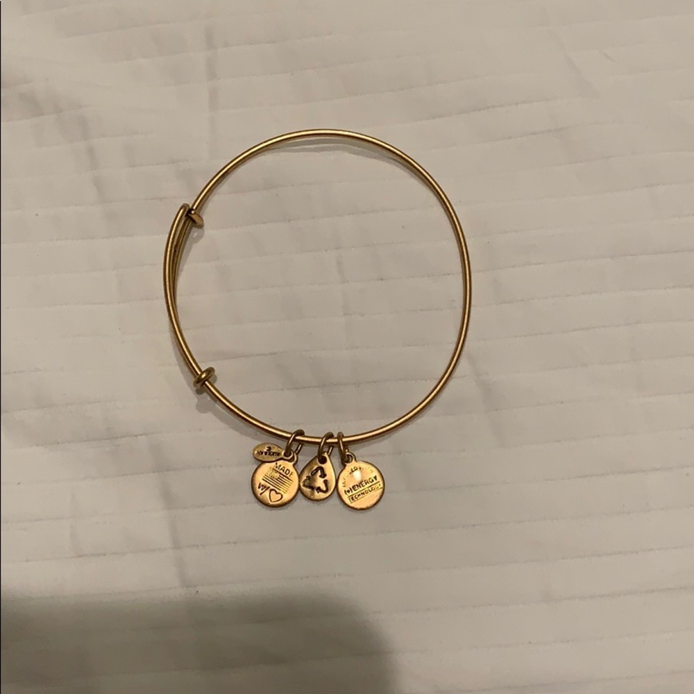 Alex And Ani Braclett